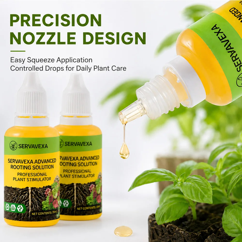 Fórmula de nutrientes líquidos para plantas estimuladores de raíces y cubos de lana de roca para la propagación de esquejes de semillas en hidroponía.
