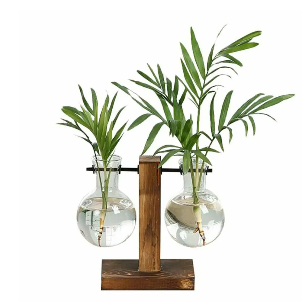 Macetero de escritorio creativo, jarrón de bulbo con soporte de madera, contenedor para plantas hidropónicas, decoración para el hogar y la mesa.
