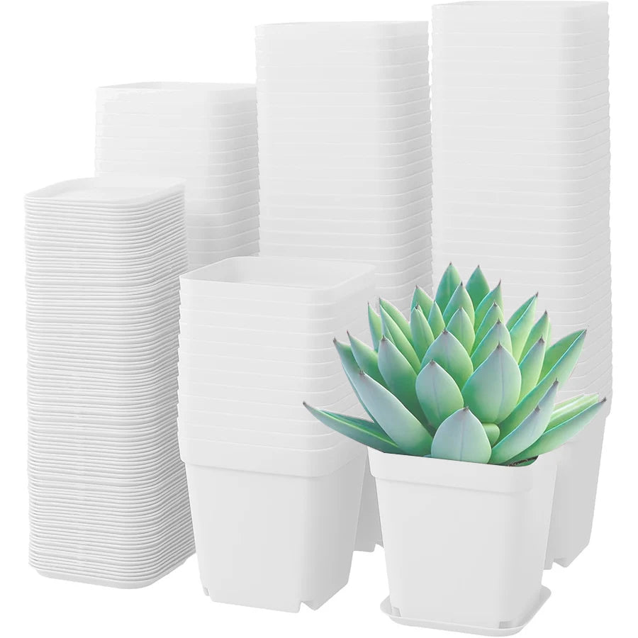 10 macetas cuadradas con bandejas de drenaje: ideales para suculentas, jardinería de escritorio en la oficina y decoración de balcones.