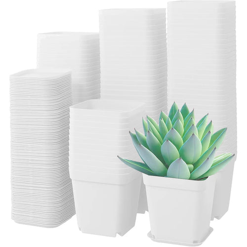 10 macetas cuadradas con bandejas de drenaje: ideales para suculentas, jardinería de escritorio en la oficina y decoración de balcones.