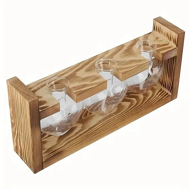 Frascos transparente para sala de estar, pequeño y fresco, de estilo europeo, con diseño de rábano verde hidropónico.