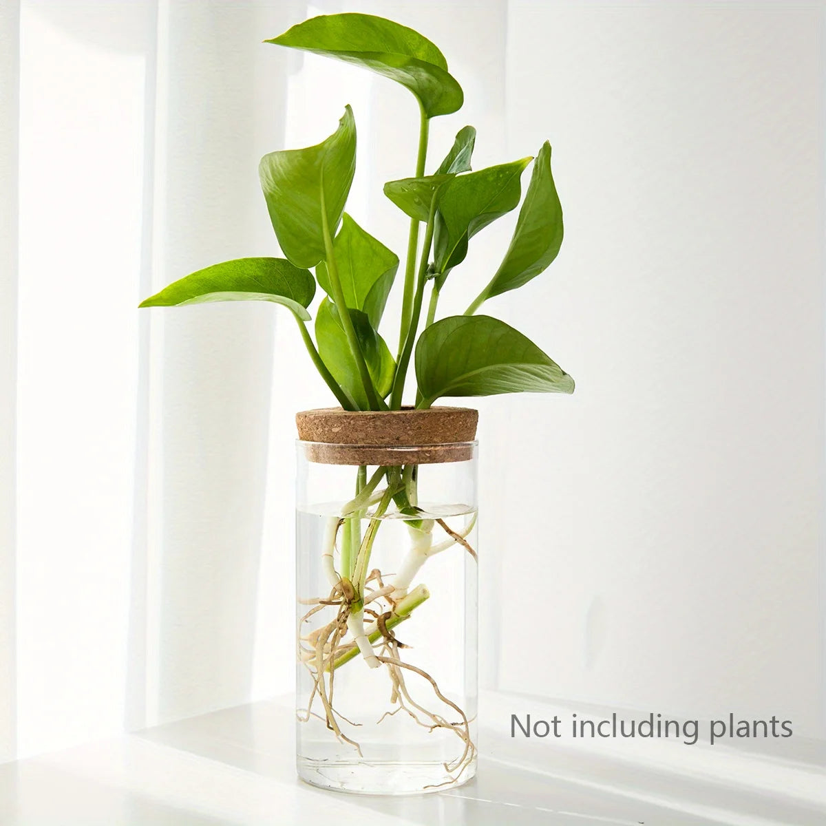 Jarrón de vidrio hidropónico de escritorio, decorativo para el hogar, para el cultivo de plantas, ideal para la oficina o como contenedor para el enraizamiento de plantas verdes.