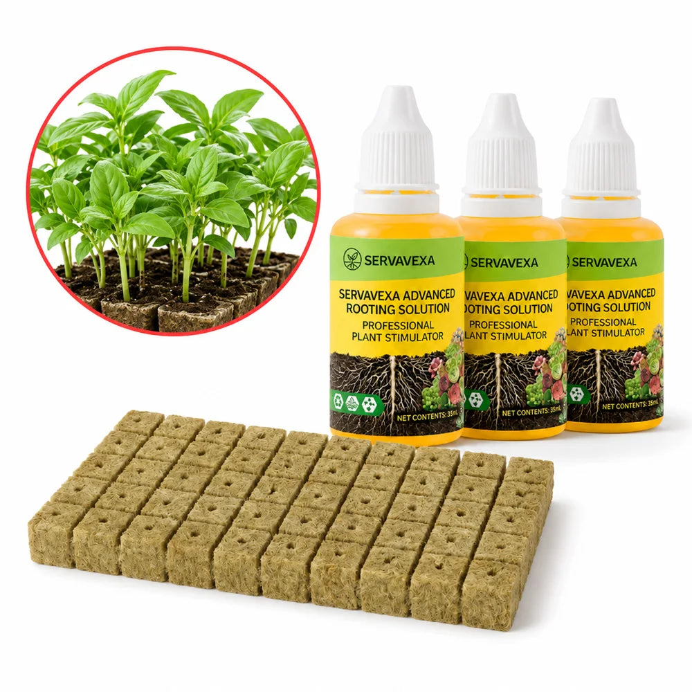Fórmula de nutrientes líquidos para plantas estimuladores de raíces y cubos de lana de roca para la propagación de esquejes de semillas en hidroponía.