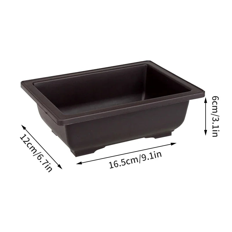 Macetas rectangulares de plástico para entrenamiento de bonsáis con bandeja de drenaje para plantas suculentas y bonsáis. Decoración del hogar.