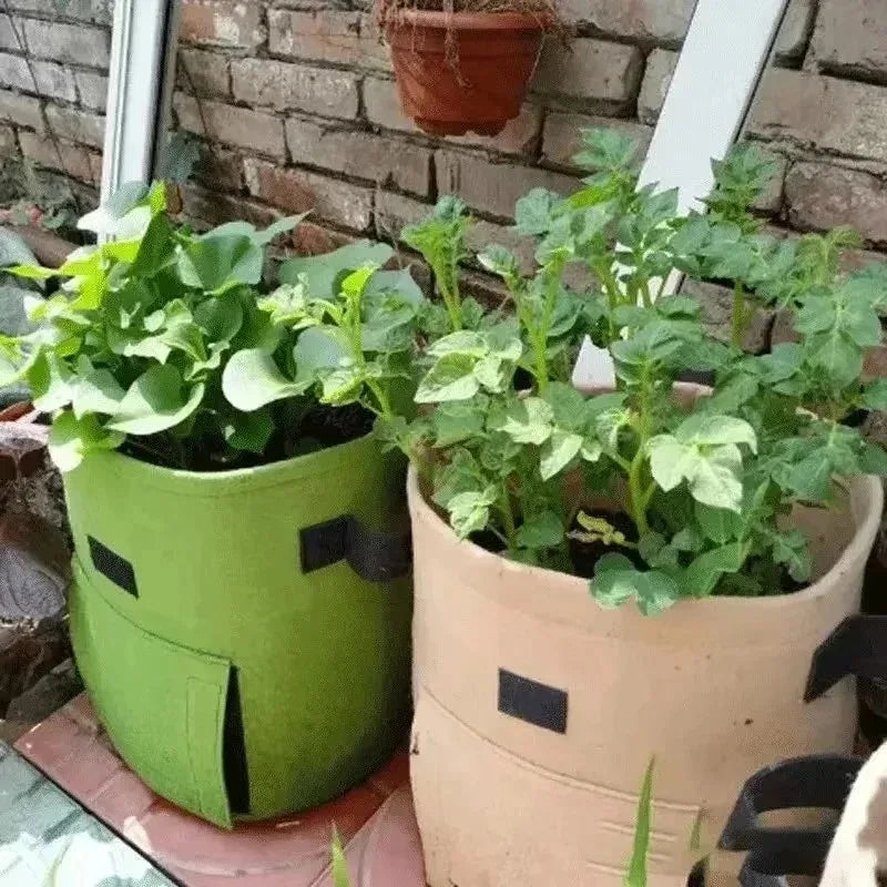 Bolsa de cultivo de fieltro de 2 tamaños, tela no tejida, macetas para patatas de jardín, invernaderos, bolsas de cultivo de hortalizas, herramientas verticales de hidratación
