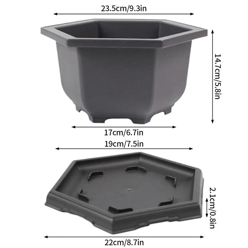 Macetas rectangulares de plástico para entrenamiento de bonsáis con bandeja de drenaje para plantas suculentas y bonsáis. Decoración del hogar.