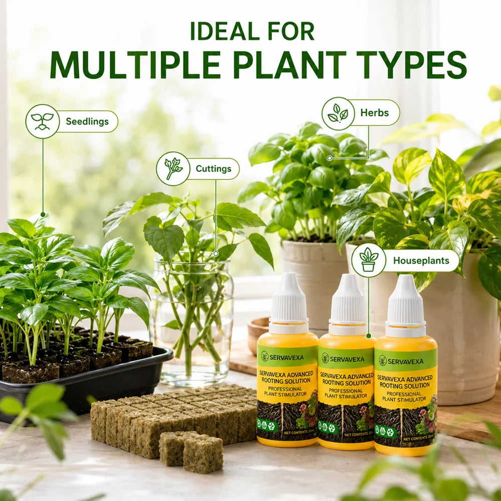 Fórmula de nutrientes líquidos para plantas estimuladores de raíces y cubos de lana de roca para la propagación de esquejes de semillas en hidroponía.