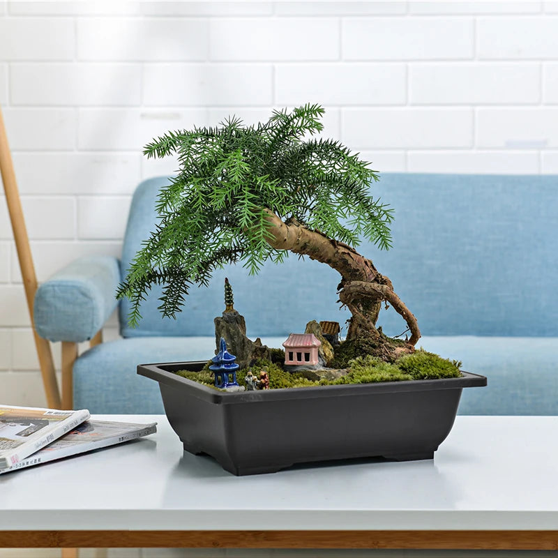 Macetas rectangulares de plástico para entrenamiento de bonsáis con bandeja de drenaje para plantas suculentas y bonsáis. Decoración del hogar.