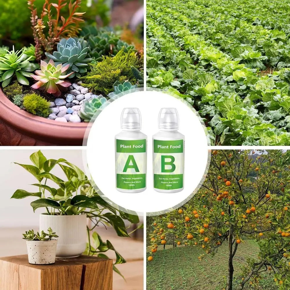 Fertilizante hidropónico AB Solution Set Alimento para plantas de jardín hidropónico Fertilizante para plantas Flores Hortalizas Nutrientes