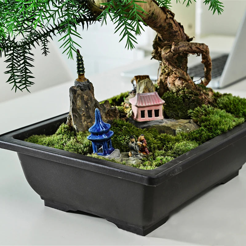 Macetas rectangulares de plástico para entrenamiento de bonsáis con bandeja de drenaje para plantas suculentas y bonsáis. Decoración del hogar.