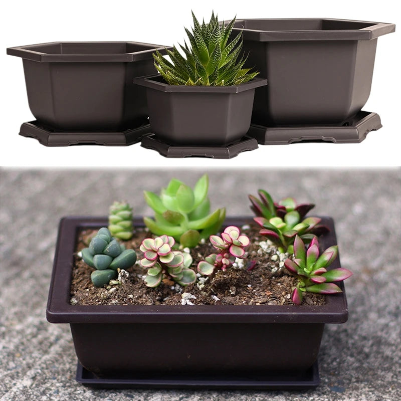 Macetas rectangulares de plástico para entrenamiento de bonsáis con bandeja de drenaje para plantas suculentas y bonsáis. Decoración del hogar.