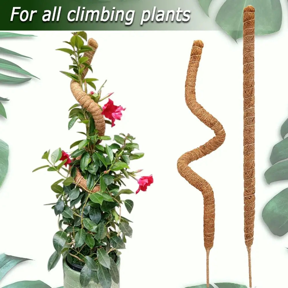 Tutor de musgo para plantas