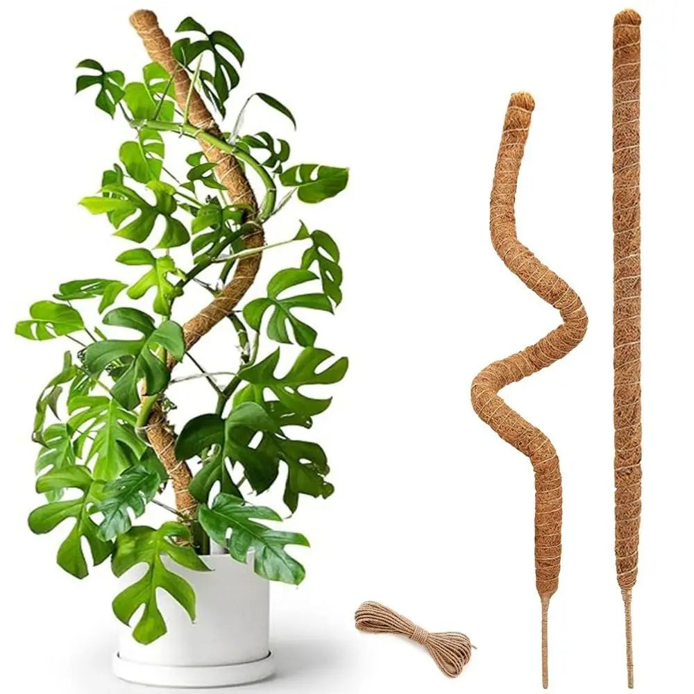 Tutor de musgo para plantas