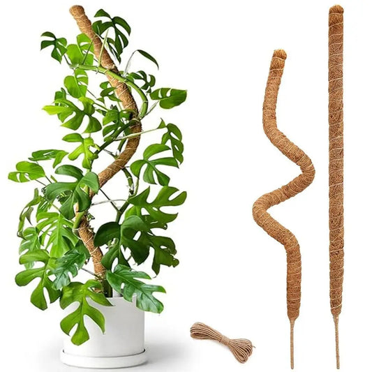 Tutor de musgo para plantas