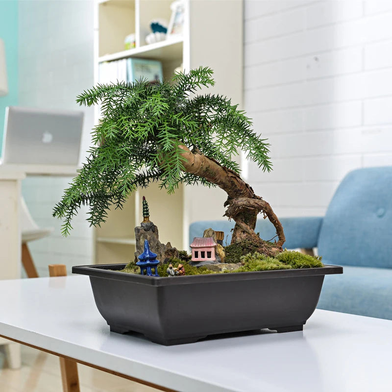 Macetas rectangulares de plástico para entrenamiento de bonsáis con bandeja de drenaje para plantas suculentas y bonsáis. Decoración del hogar.