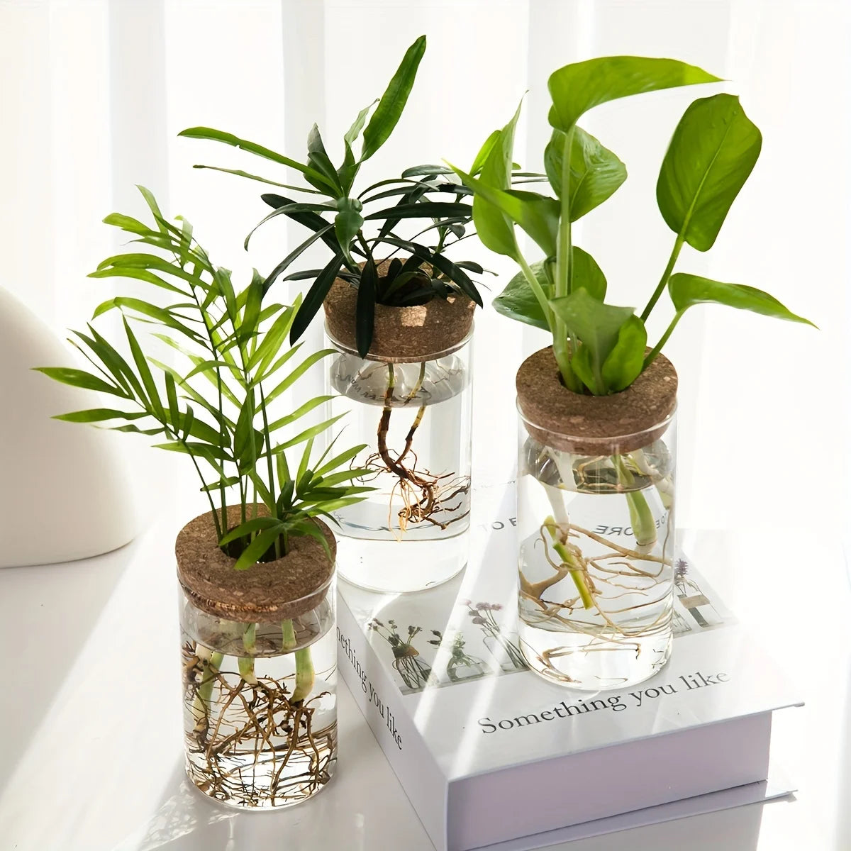 Jarrón de vidrio hidropónico de escritorio, decorativo para el hogar, para el cultivo de plantas, ideal para la oficina o como contenedor para el enraizamiento de plantas verdes.