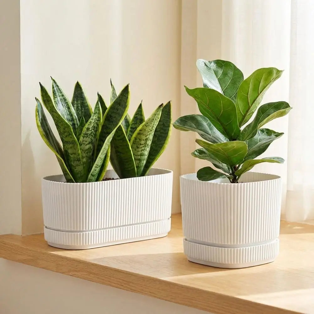 Maceta de plástico de doble capa con autorriego, jarrón de escritorio, maceta para plantas, engrosada, con orificio de drenaje, contenedor para verduras.