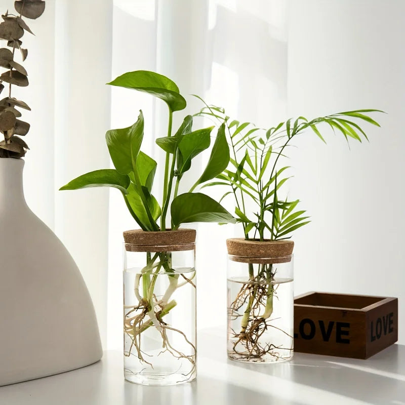 Jarrón de vidrio hidropónico de escritorio, decorativo para el hogar, para el cultivo de plantas, ideal para la oficina o como contenedor para el enraizamiento de plantas verdes.