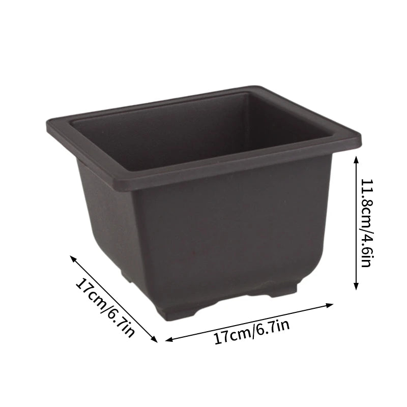Macetas rectangulares de plástico para entrenamiento de bonsáis con bandeja de drenaje para plantas suculentas y bonsáis. Decoración del hogar.