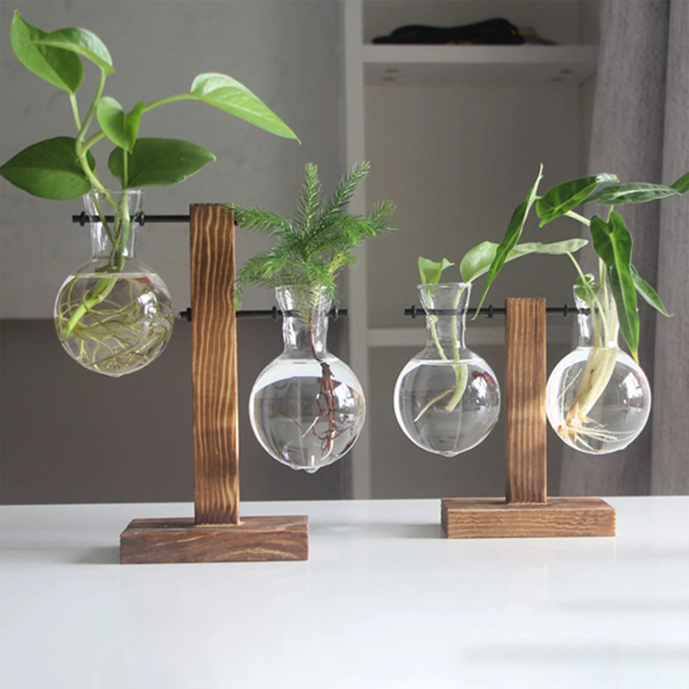 Macetero de escritorio creativo, jarrón de bulbo con soporte de madera, contenedor para plantas hidropónicas, decoración para el hogar y la mesa.