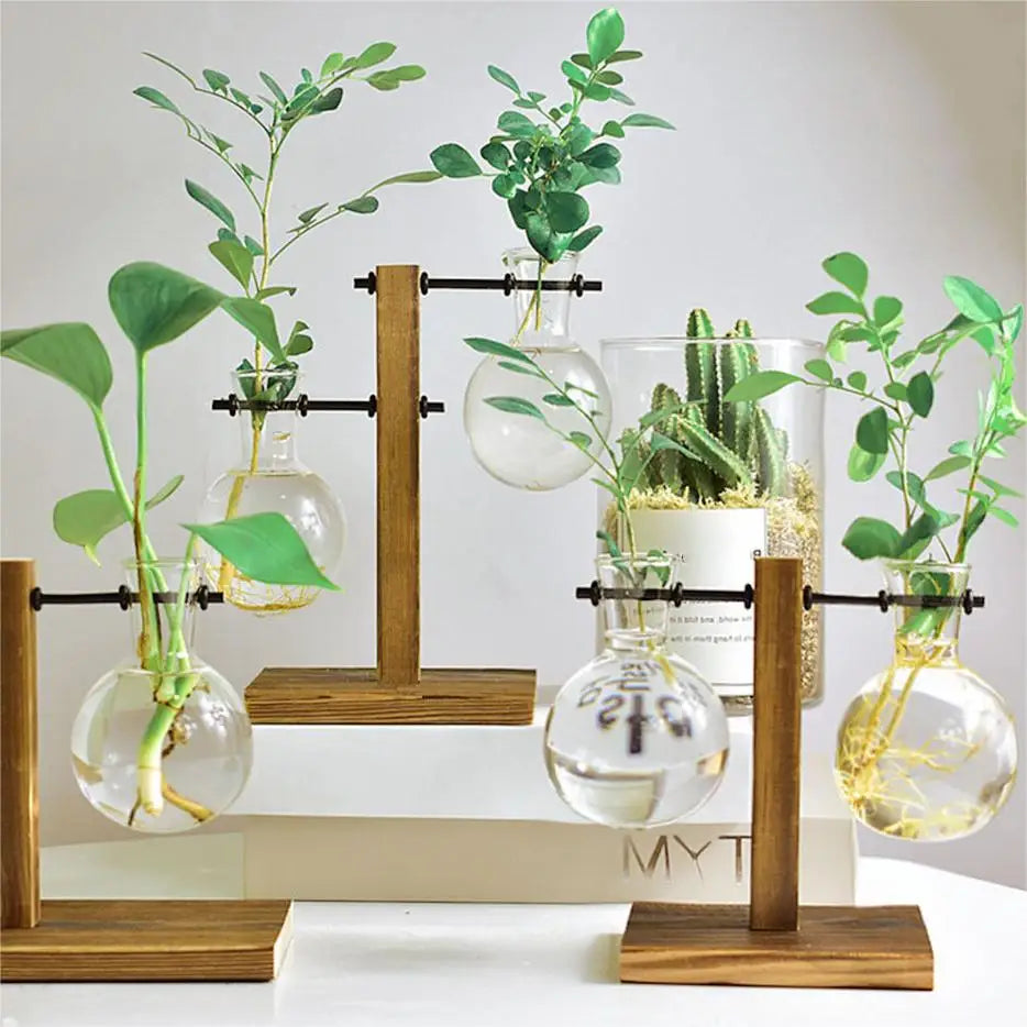 Macetero de escritorio creativo, jarrón de bulbo con soporte de madera, contenedor para plantas hidropónicas, decoración para el hogar y la mesa.