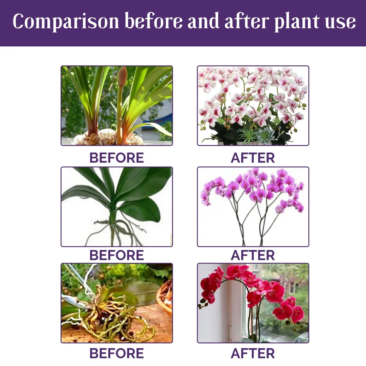 Fertilizante líquido especial para orquídeas de 50 ml, para plantas de jardín hidropónico, suplemento de nutrición y crecimiento. Nutrientes compuestos para flores.