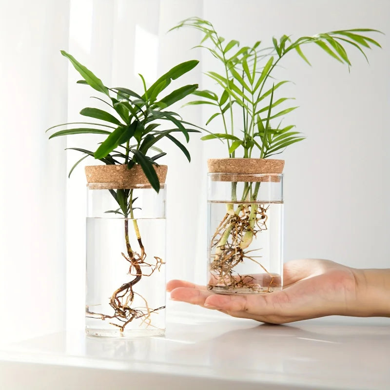 Jarrón de vidrio hidropónico de escritorio, decorativo para el hogar, para el cultivo de plantas, ideal para la oficina o como contenedor para el enraizamiento de plantas verdes.