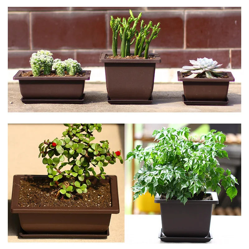 Macetas rectangulares de plástico para entrenamiento de bonsáis con bandeja de drenaje para plantas suculentas y bonsáis. Decoración del hogar.
