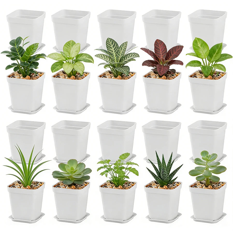 10 macetas cuadradas con bandejas de drenaje: ideales para suculentas, jardinería de escritorio en la oficina y decoración de balcones.