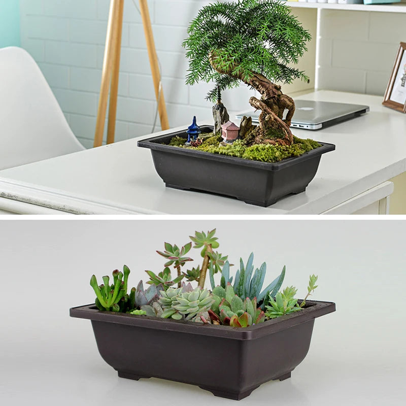 Macetas rectangulares de plástico para entrenamiento de bonsáis con bandeja de drenaje para plantas suculentas y bonsáis. Decoración del hogar.