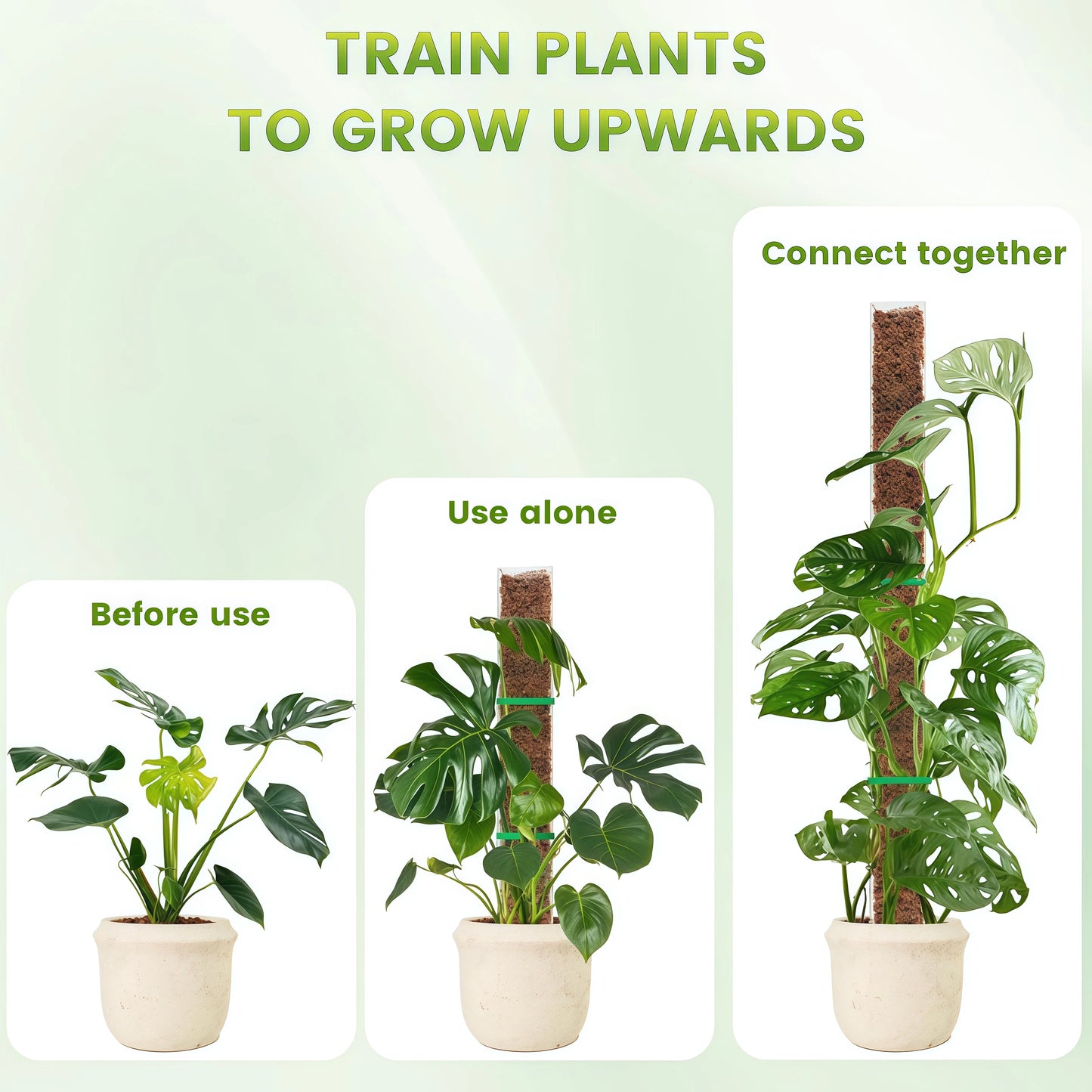 Tutor para plantas