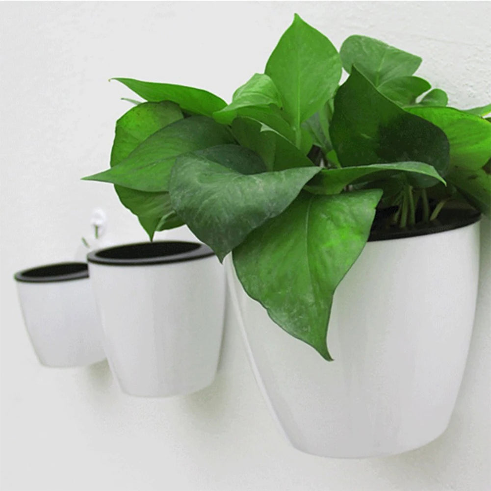 Maceta de pared automática de plástico absorbente de agua para tierra o sistema hidropónico. Soporte para macetas de pared y balcón.