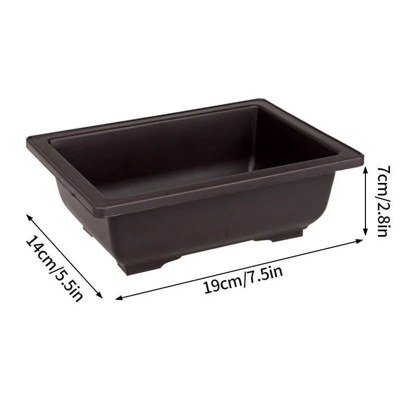 Macetas rectangulares de plástico para entrenamiento de bonsáis con bandeja de drenaje para plantas suculentas y bonsáis. Decoración del hogar.