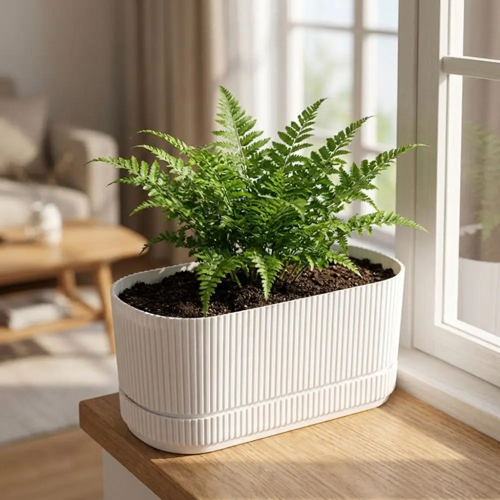 Maceta de plástico de doble capa con autorriego, jarrón de escritorio, maceta para plantas, engrosada, con orificio de drenaje, contenedor para verduras.