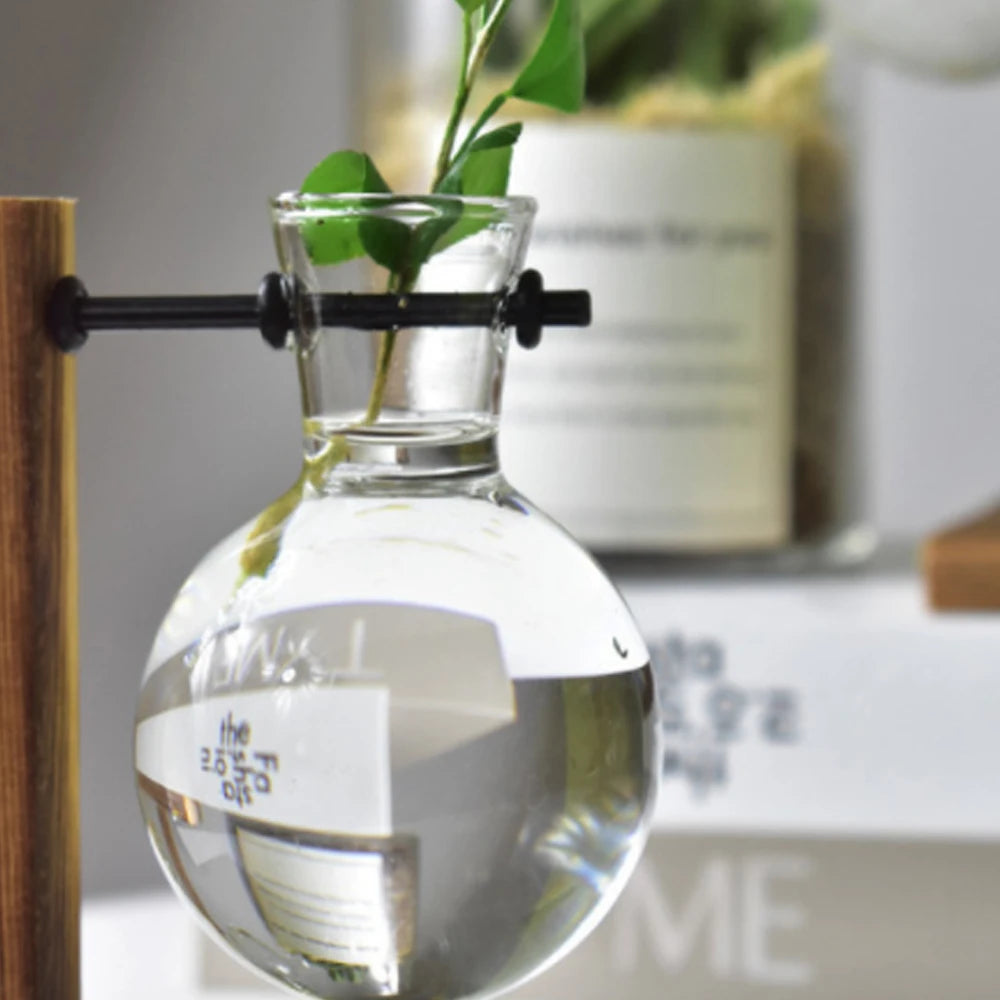 Macetero de escritorio creativo, jarrón de bulbo con soporte de madera, contenedor para plantas hidropónicas, decoración para el hogar y la mesa.