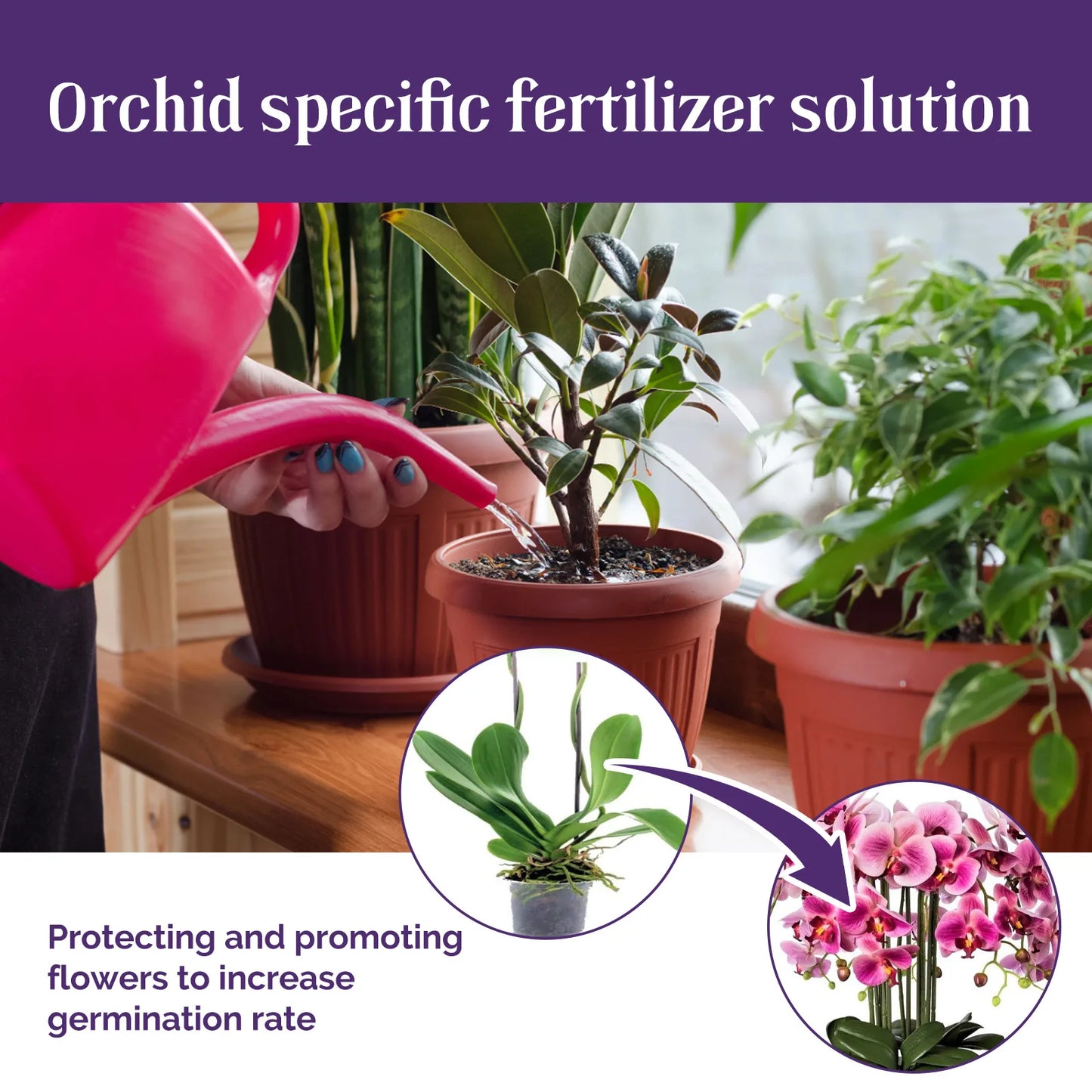 Fertilizante líquido especial para orquídeas de 50 ml, para plantas de jardín hidropónico, suplemento de nutrición y crecimiento. Nutrientes compuestos para flores.