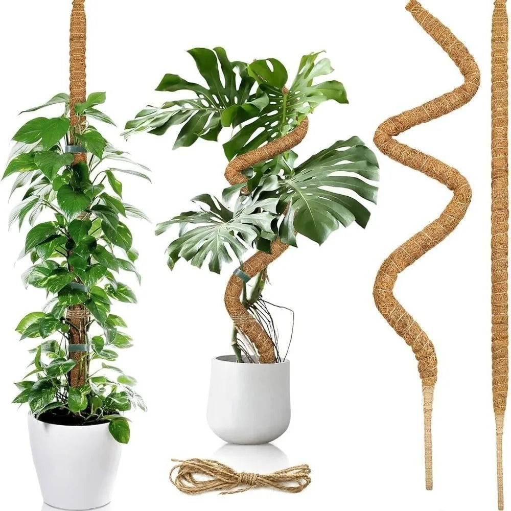Tutor de musgo para plantas