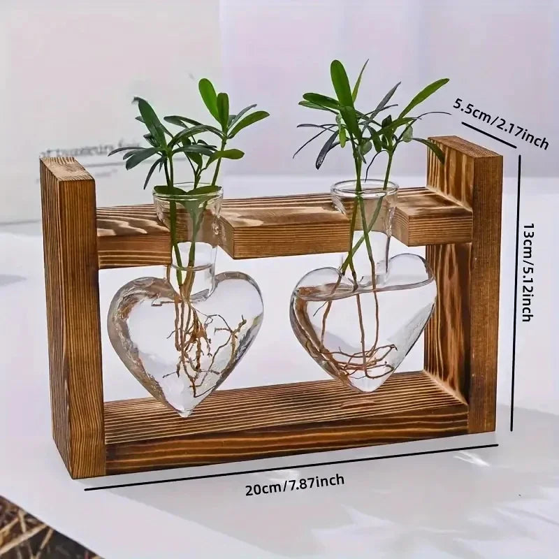 Frascos transparente para sala de estar, pequeño y fresco, de estilo europeo, con diseño de rábano verde hidropónico.