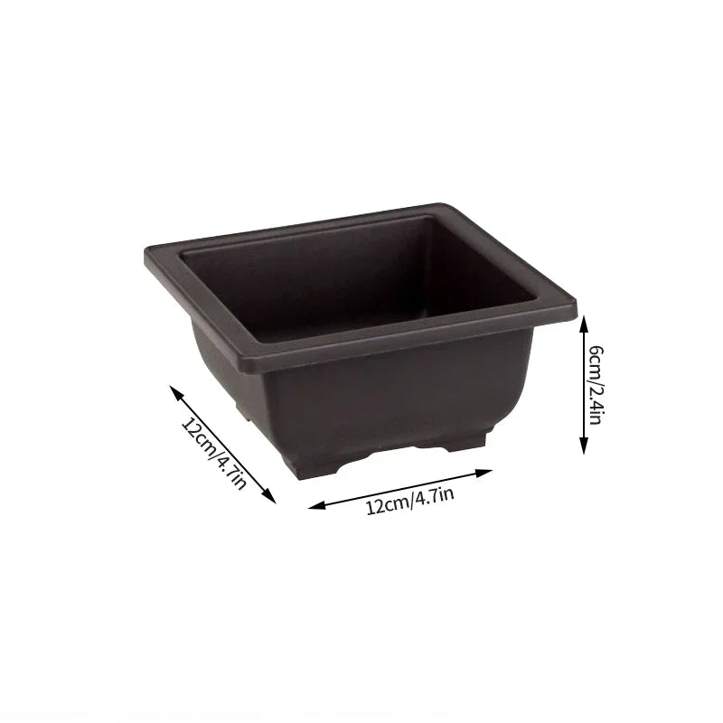 Macetas rectangulares de plástico para entrenamiento de bonsáis con bandeja de drenaje para plantas suculentas y bonsáis. Decoración del hogar.
