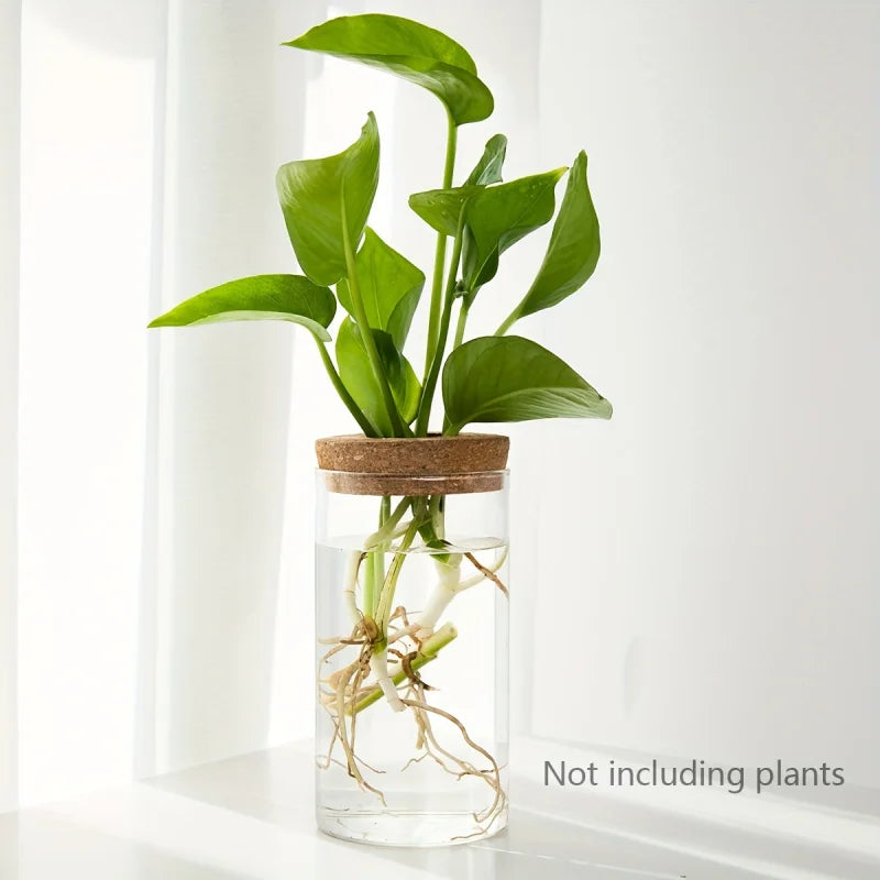 Jarrón de vidrio hidropónico de escritorio, decorativo para el hogar, para el cultivo de plantas, ideal para la oficina o como contenedor para el enraizamiento de plantas verdes.