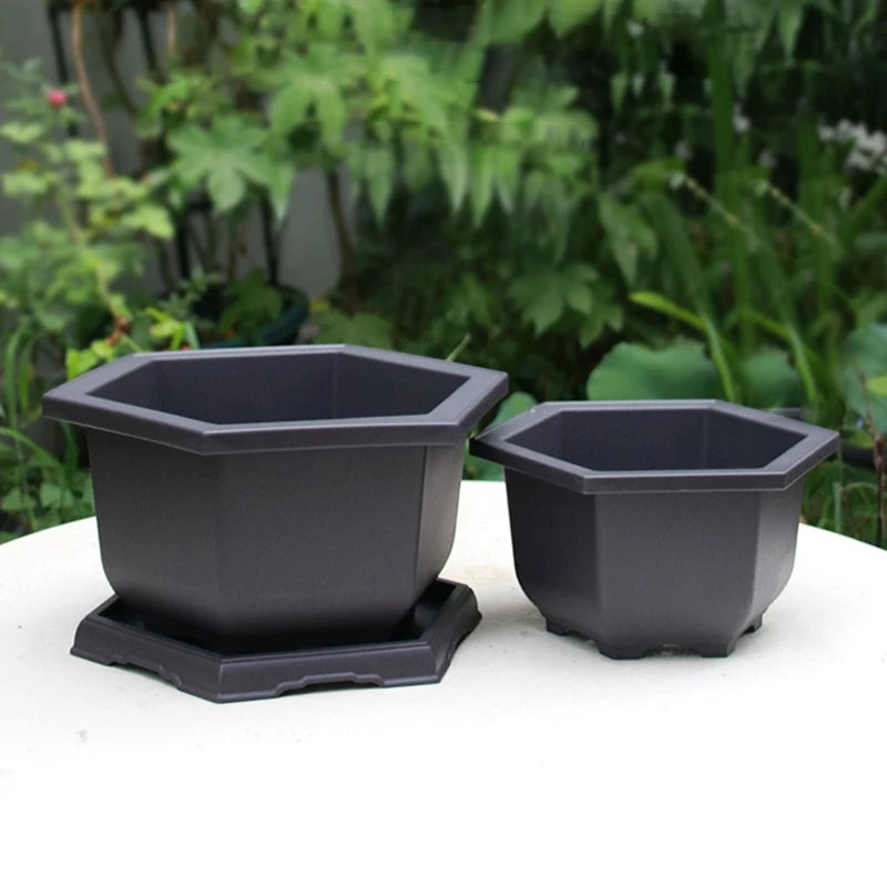 Macetas rectangulares de plástico para entrenamiento de bonsáis con bandeja de drenaje para plantas suculentas y bonsáis. Decoración del hogar.