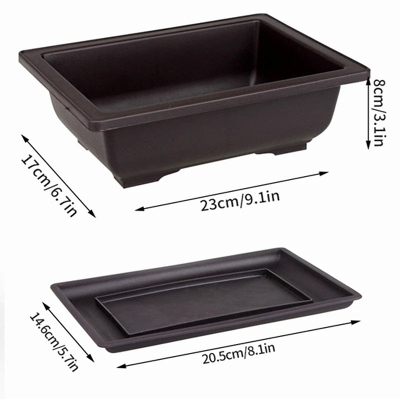 Macetas rectangulares de plástico para entrenamiento de bonsáis con bandeja de drenaje para plantas suculentas y bonsáis. Decoración del hogar.