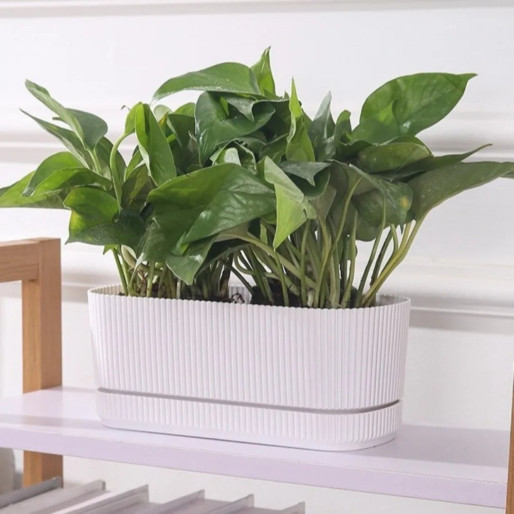 Maceta de plástico de doble capa con autorriego, jarrón de escritorio, maceta para plantas, engrosada, con orificio de drenaje, contenedor para verduras.