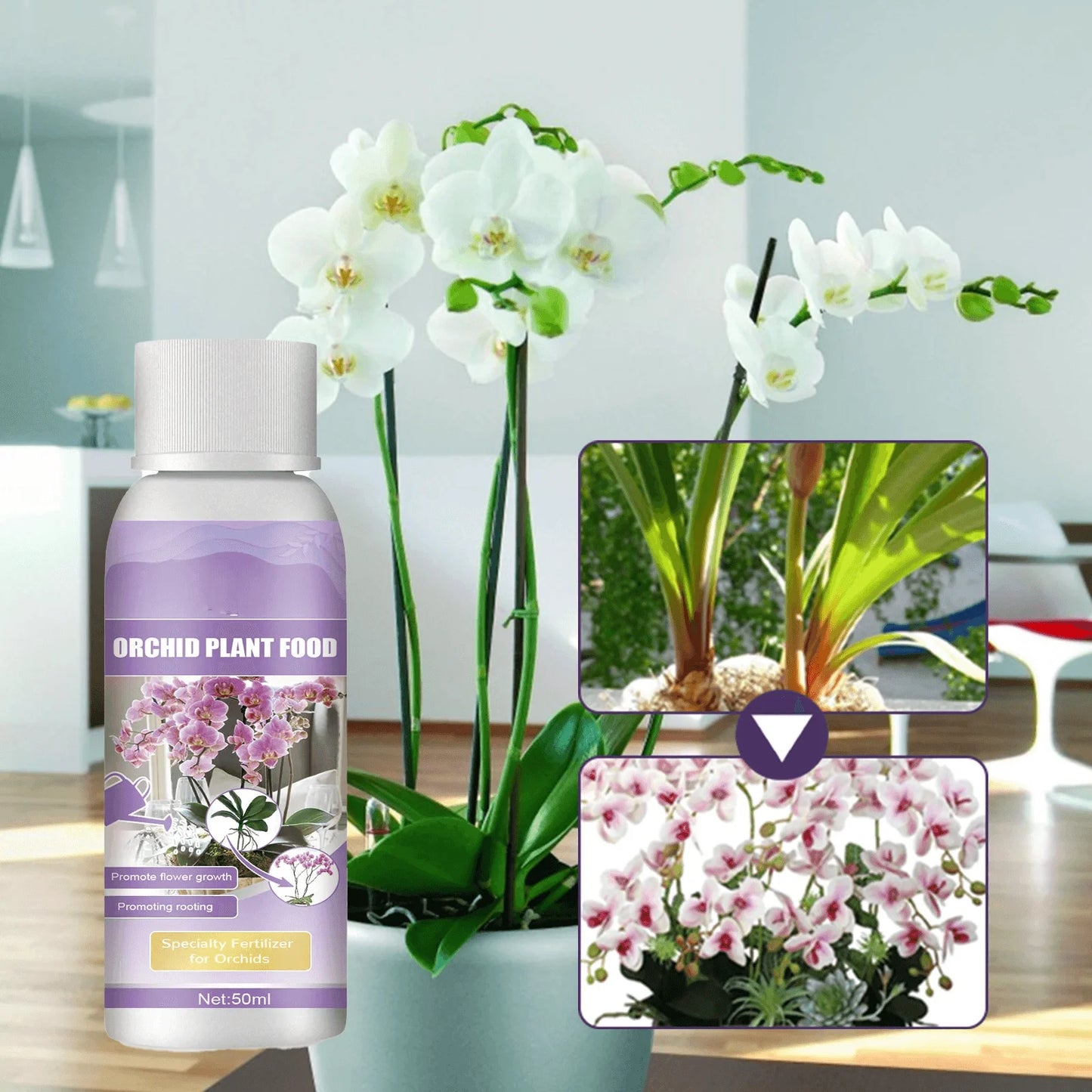 Fertilizante líquido especial para orquídeas de 50 ml, para plantas de jardín hidropónico, suplemento de nutrición y crecimiento. Nutrientes compuestos para flores.